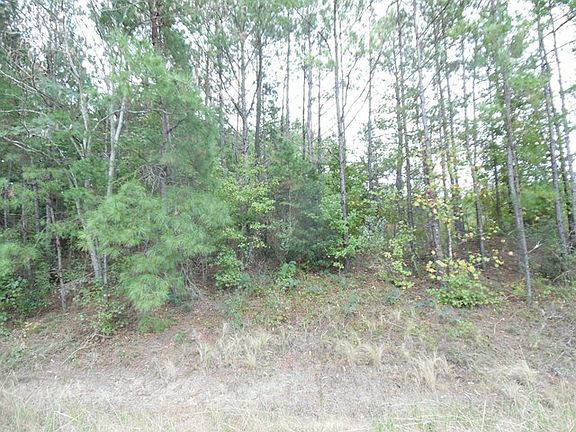 5th image of 3921 Us Highway 431 S