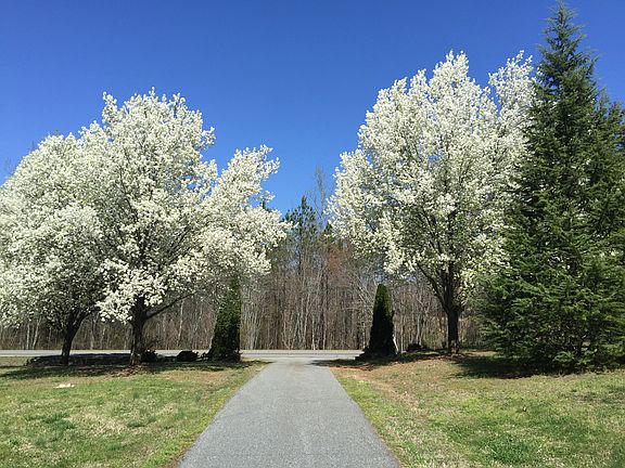 Driveway entrance from road