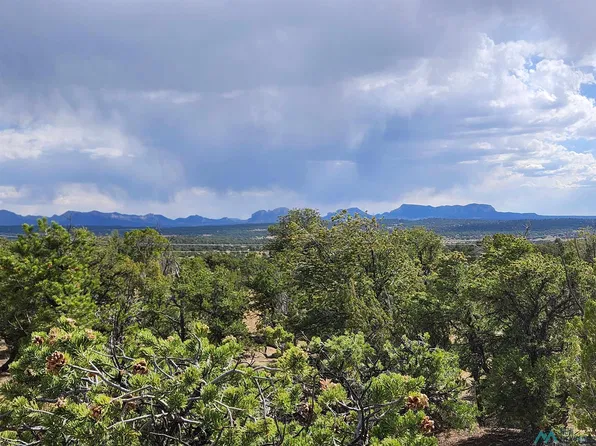 136 Ponderosa View Loop #18, Pie Town, NM 87827
