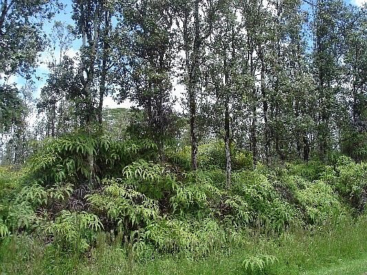 2nd image of Kahukai St Lot 35
