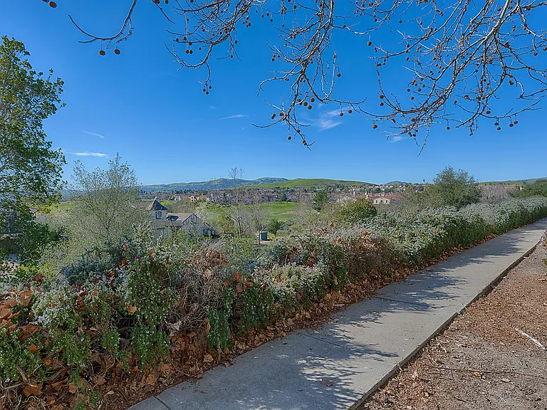 Bel Air — Photo 33