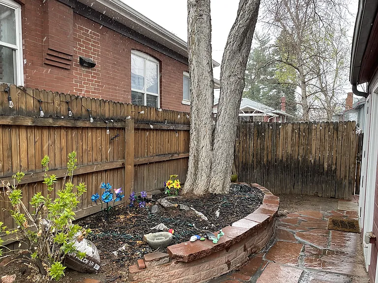 shared back yard