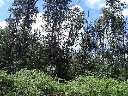 2nd image of Railrd Rd Lot 423