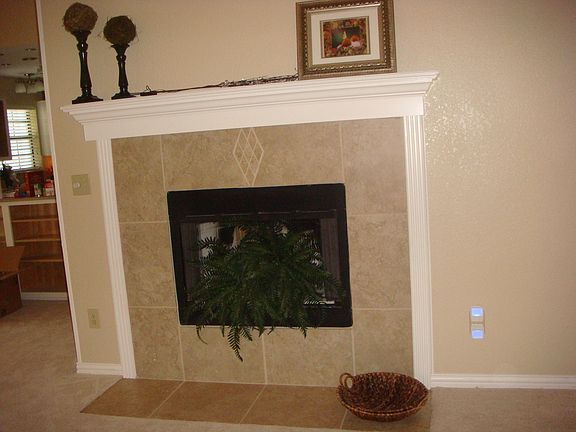 Working Wood Fireplace