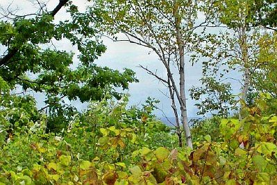 3rd image of Bluff Ledge Rd