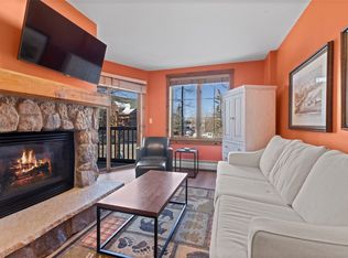 150 Dercum Sq #8458, Dillon, CO 80435