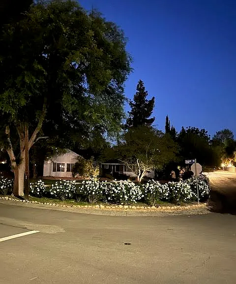 Street at Night
