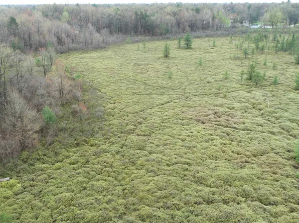 Neva Virginia Dr, Prescott, MI 48756