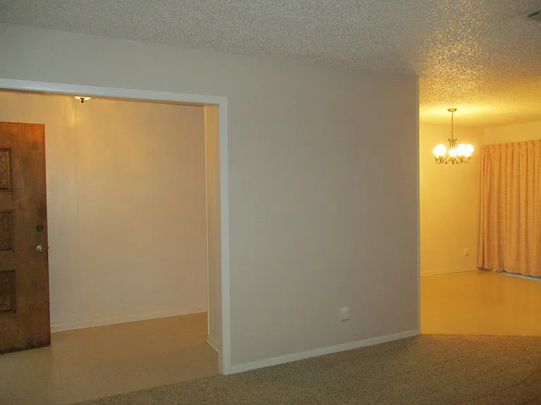 311 Cindy Dr — Photo 6