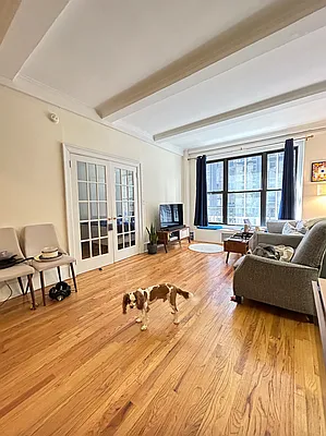 Rented by GP Properties | media 7