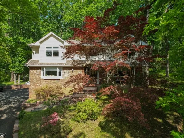 17 Drift Rd, Watchung Boro, NJ 07069