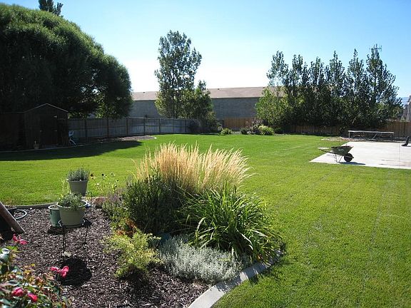 Amazing backyard
