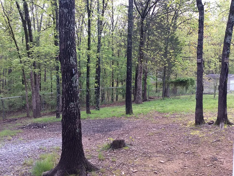 223 Sunny Gap Rd #A — Photo 23