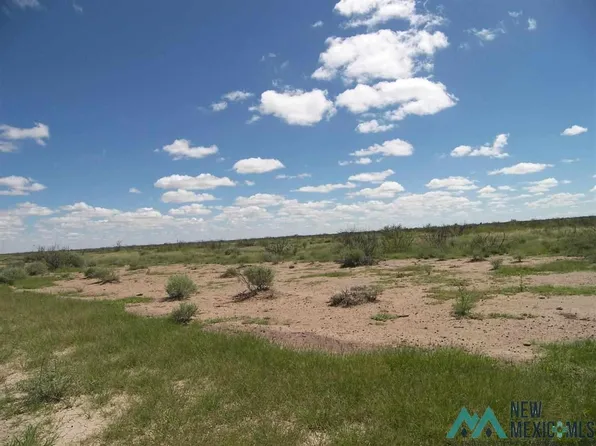 Aurora Rd NE, Deming, NM 88030