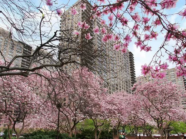 205 W End Ave APT 3E, New York, NY 10023