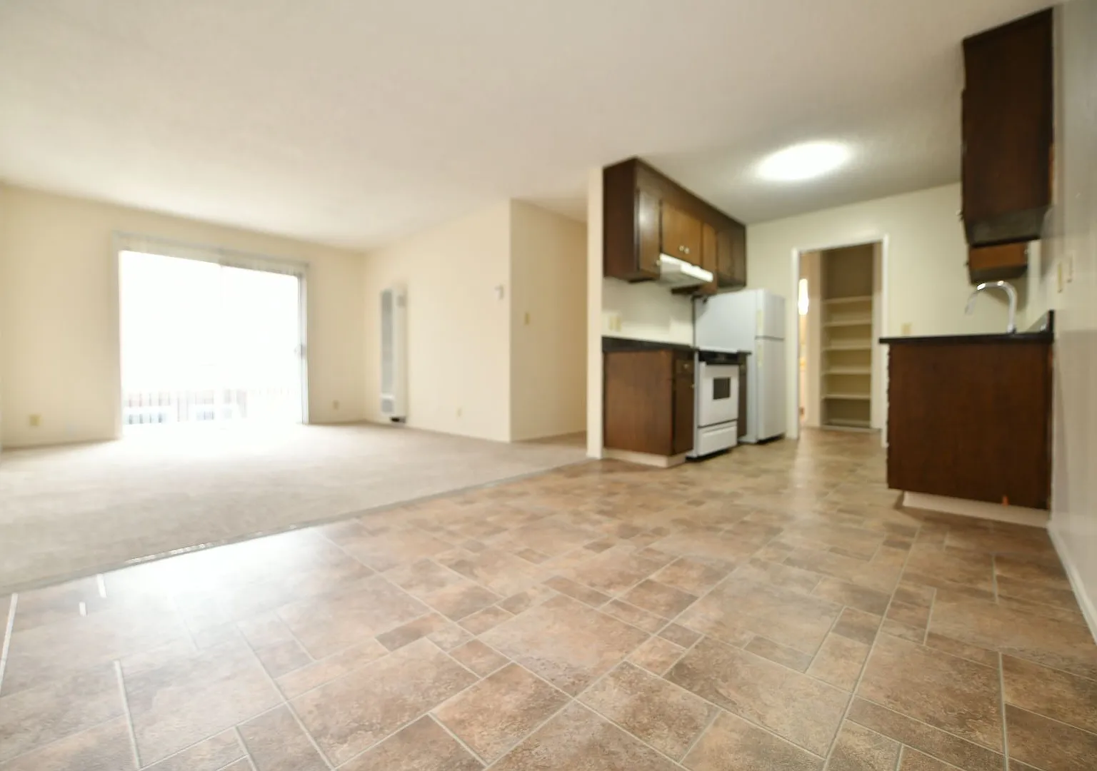 2725 Haste St. — Photo 3
