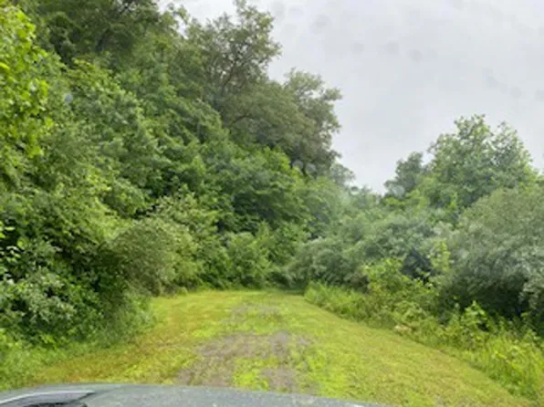 0 Jennys Fork Map 48 0 0 Lot 5-008.00, Pikeville, KY 41501