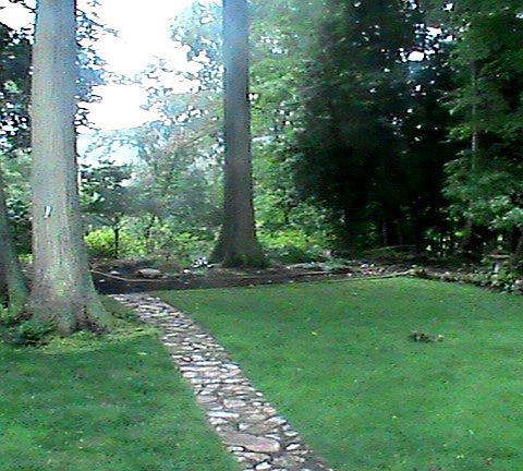 5th image of 4381 Valley Forge Dr