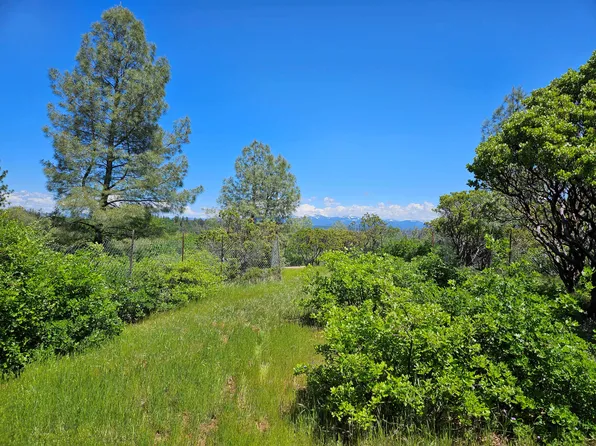 Gold Run Rd, Bella Vista, CA 96008