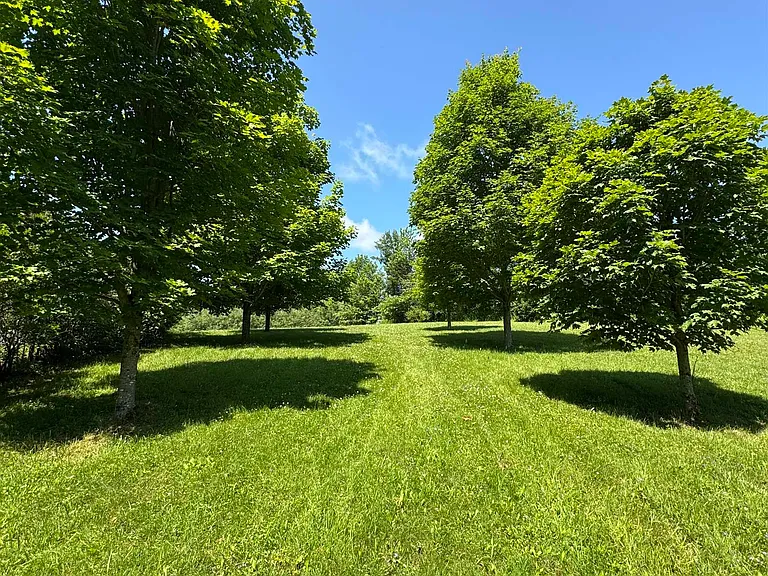 455 Lead Mine Rd — Photo 39