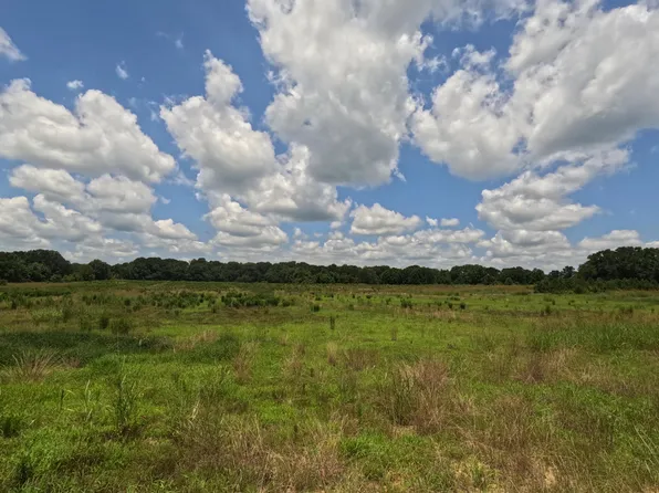 Old Port Gibson Rd, Utica, MS 39175