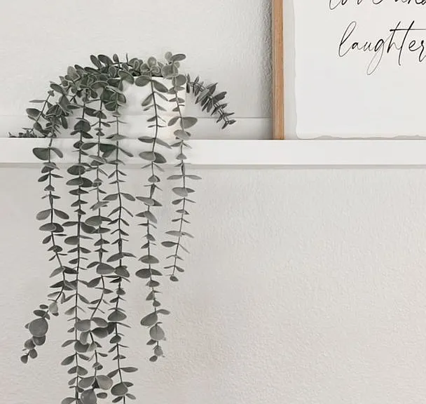 261 Boulder Creek Dr — Photo 16