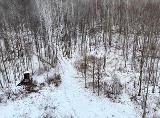 W Dana Rd, Coleman, MI 48618