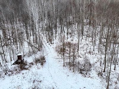 W Dana Rd, Coleman, MI, 48618