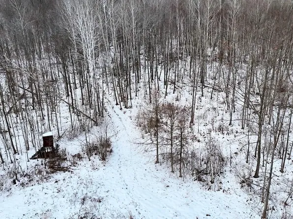 W Dana Rd, Coleman, MI 48618