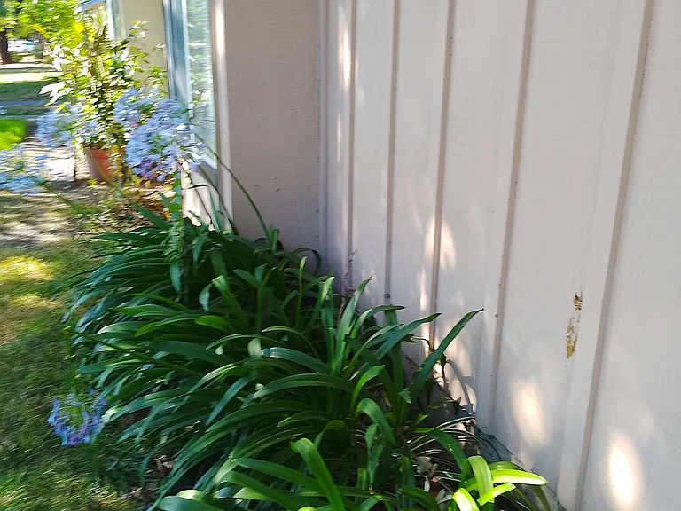 6857 Gordon Ct — Photo 26