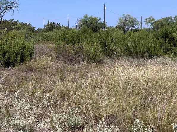 21008 Frank Rd, Paint Rock, TX 76866