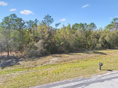 14420 Bailey Hill Rd #0, Brooksville, FL, 34614
