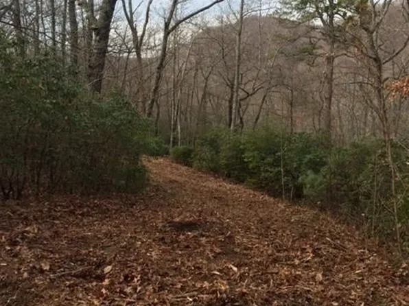 Panther Mountain Rd Lot 4, Travelers Rest, SC 29690