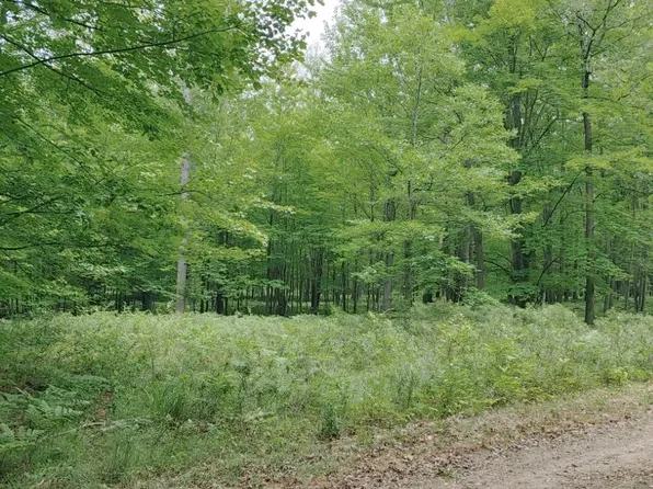 N Cut Rd, Roscommon, MI 48653