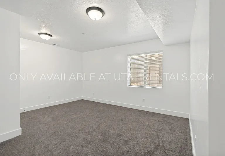 1076 Bear Hollow Ln #BASEMENT — Photo 8