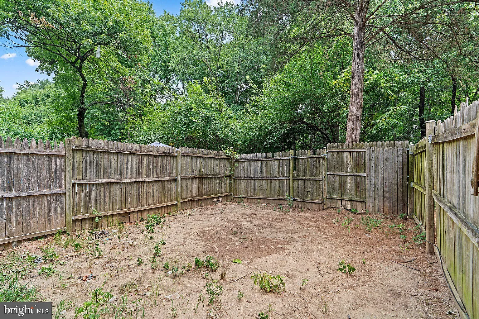 3 bed, 1.5 bath, 1512 sqft, $2,850 — Photo 3