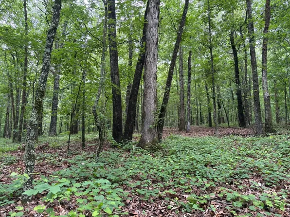 0 Scenic Dr, Talladega, AL 35160