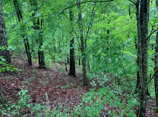 34 Bearden Rd, Blue Ridge, GA 30513