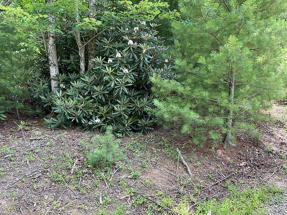 1st image of 555 Evergreen Trl