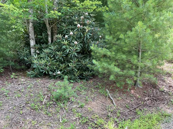 555 Evergreen Trl, Fancy Gap, VA 24328