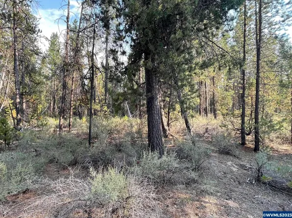 LOT 15 Kamloop Ln, Gilchrist, OR 97737