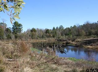 0 Fm 3357 #4312, Scroggins, TX 75480