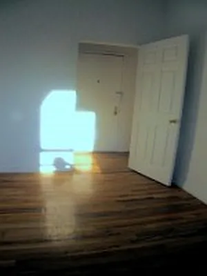 Rented by DSA Realty | media 48