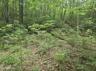 0 Prospect Rd, Sneedville, TN 37869