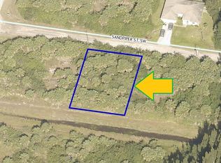 788 Sandpiper St SW, Palm Bay, FL 32908