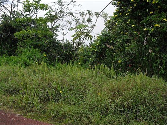 1st image of 19th Ave Lot 300