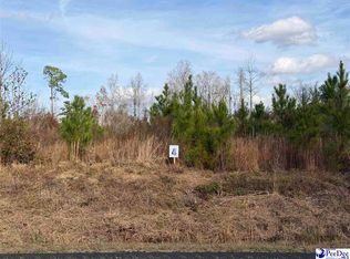 LOT 4 E Academy St, Latta, SC 29565