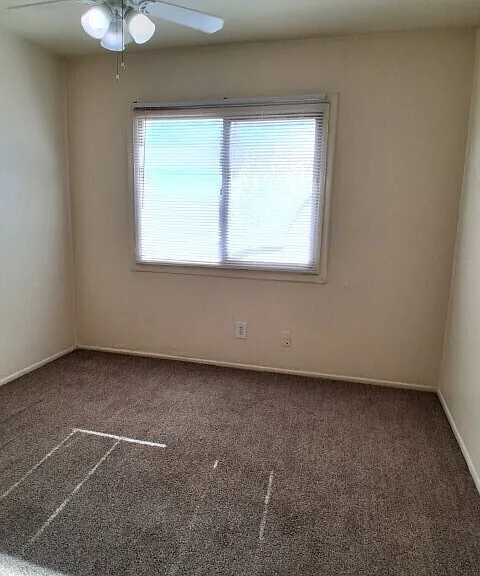 5305 W Lynwood St — Photo 23