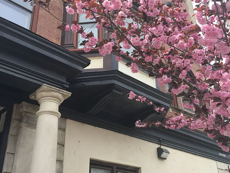 800 Florence Ave #A5 — Photo 6