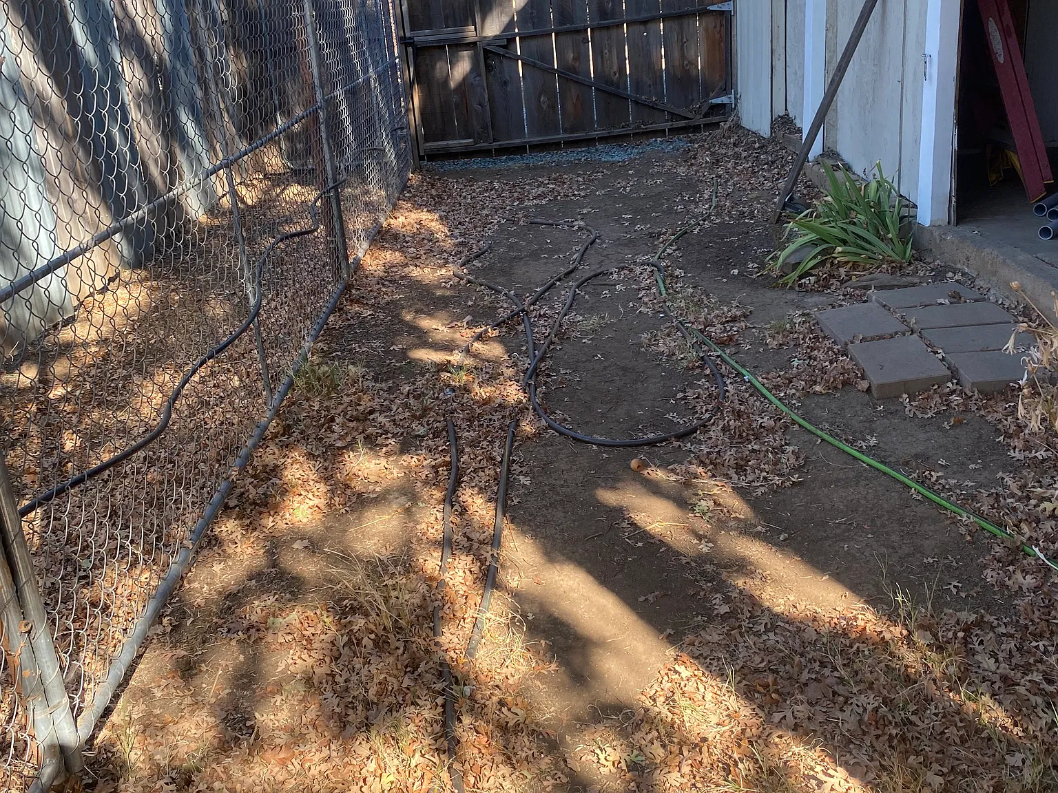 2 bed, 890 sqft, $1,800 — Photo 3